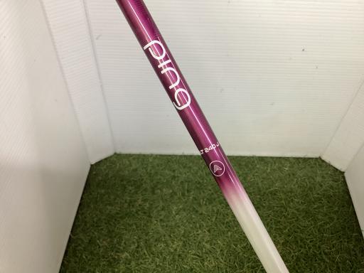 �f�@�k���Q�@�V�v�@���f�B�[�X