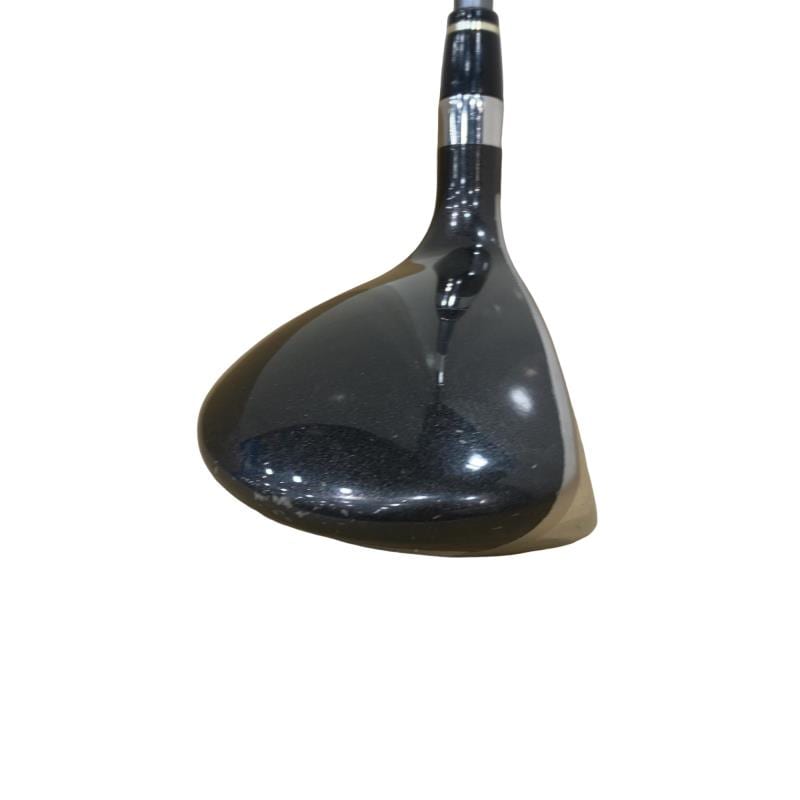 �u�q�Q�r�@���[�e�B���e�B�@�t�R