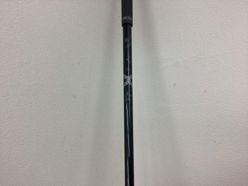 �p���R�T�@�T�v