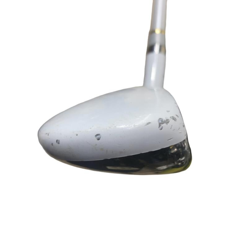 �����������i�Q�O�P�T�j�@�T�g�@���f�B�[�X