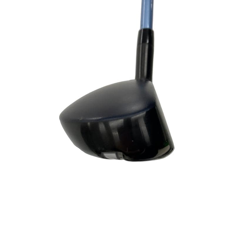 �w�q�@�t�T�@���f�B�[�X