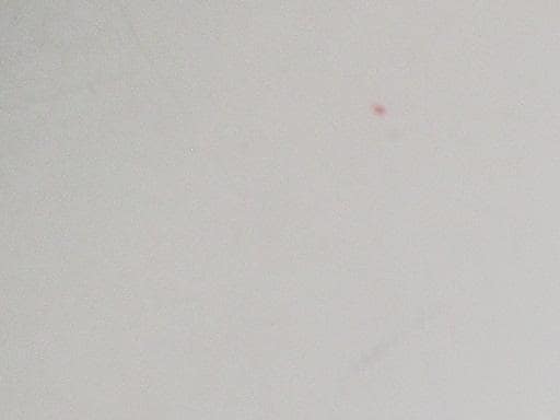 l`idrsx@v|lnldms@Jbp[N@SW°^R°