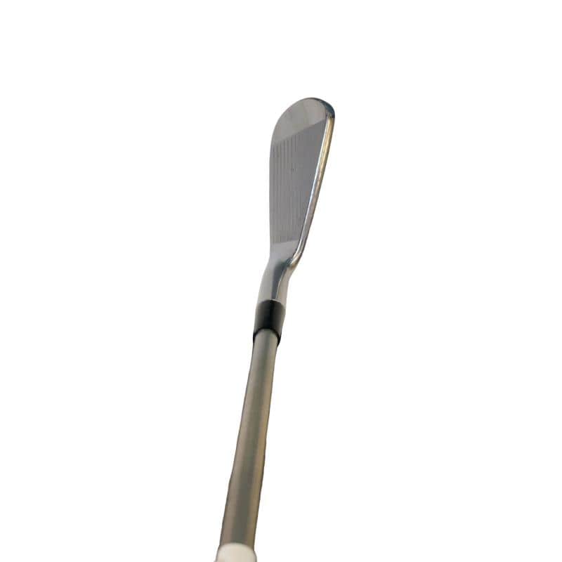 �l�����������@�o�����@�P�P�W�@�U�r�i���{���F�U�{�Z�b�g�j