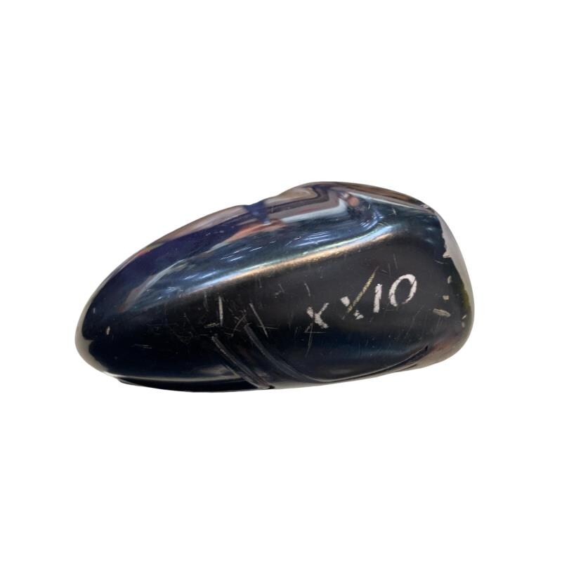 �w�w�h�n�i�Q�O�P�W�j�@�g�T