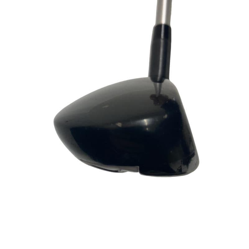 �w�Q�@�g�n�s�@�t�T�@���f�B�[�X