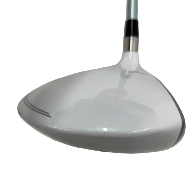 �a�q�|�w�@�T�v�@���f�B�[�X