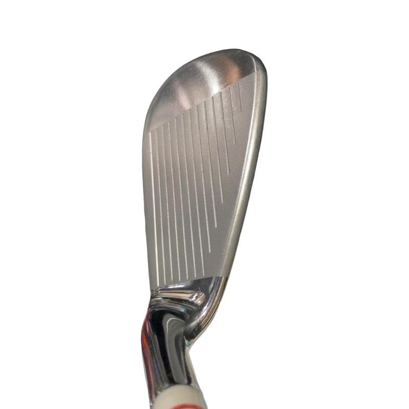 �o���������������@�b�k�i�Q�O�P�Q�j�@�T�r�@���f�B�[�X�i���{���F�T�{�Z�b�g�j