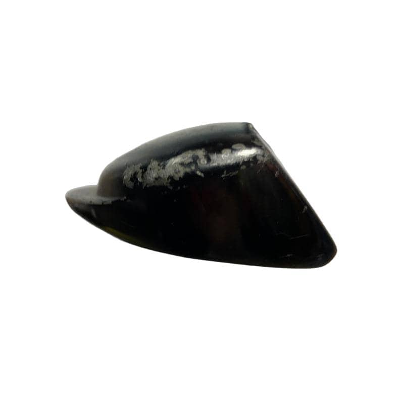 �o�n�v�d�q�@�s�n�q�m�`�c�n�@�t�e�n�@�o�o