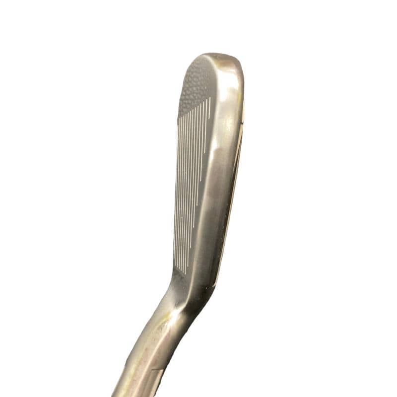 �r�h�l�Q�@�l�`�w�@�@�U�r�@���f�B�[�X�i���{���F�U�{�Z�b�g�j