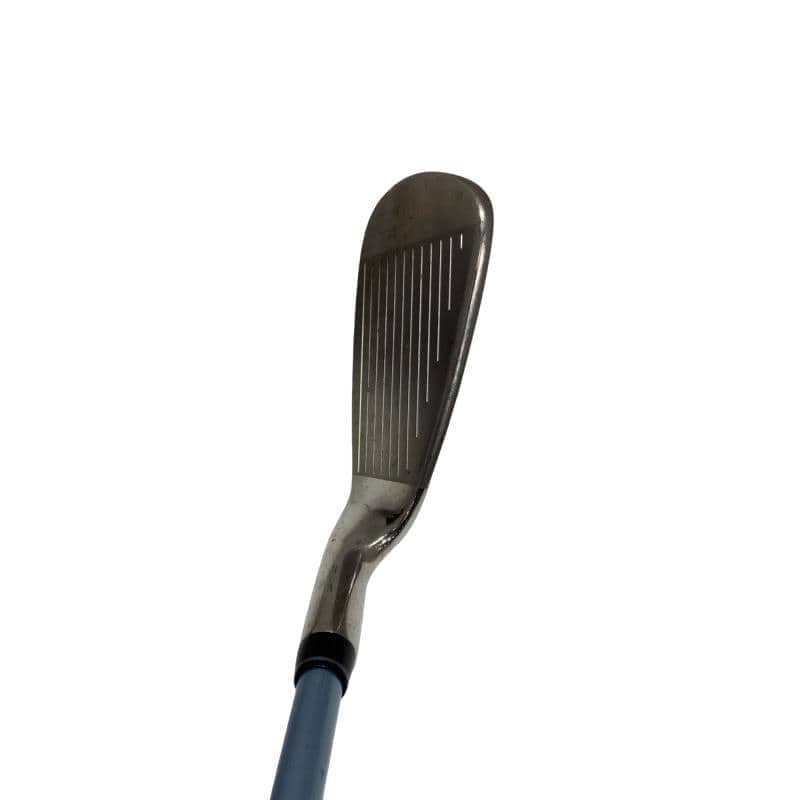 �o���������������@�b�k�i�Q�O�O�V�j�@�T�r�@���f�B�[�X�i���{���F�S�{�Z�b�g�j