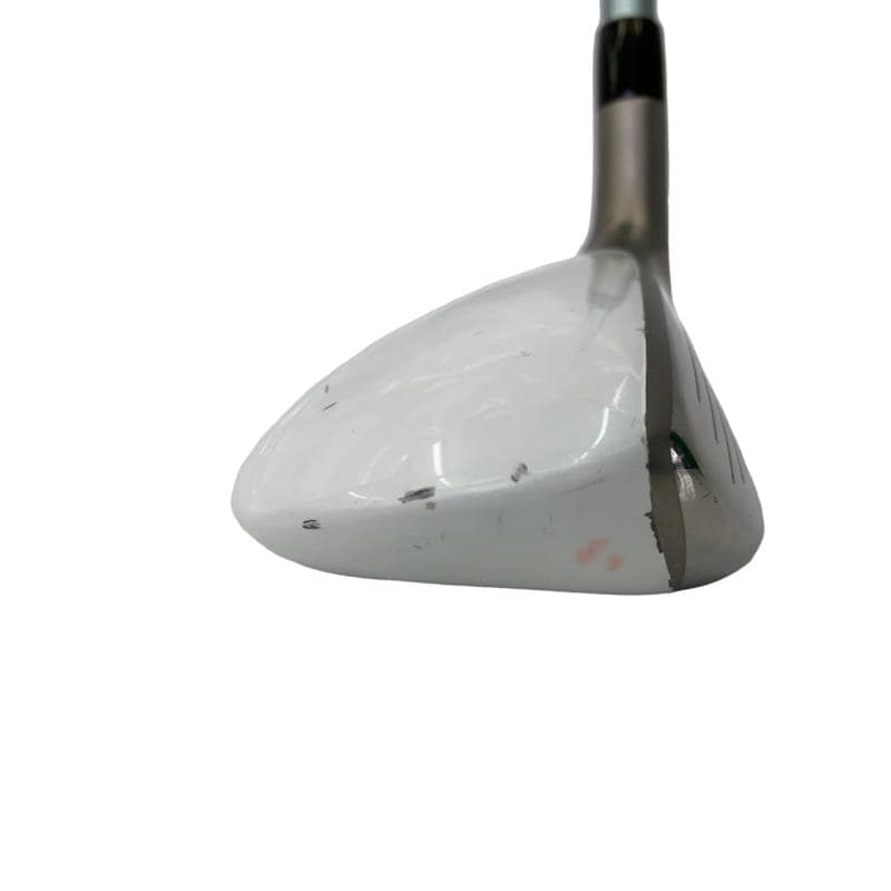 �a�q�|�w�@�t�T�@���f�B�[�X