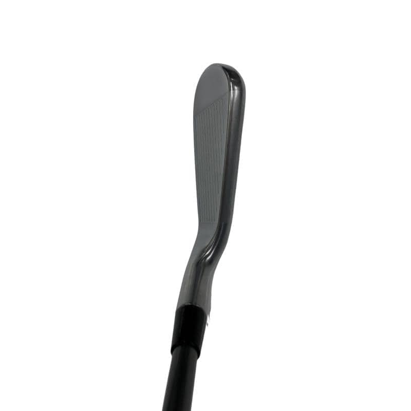 �s���������������@�s�R�T�O�i�Q�O�Q�T�j�@�U�r�i���{���F�U�{�Z�b�g�j