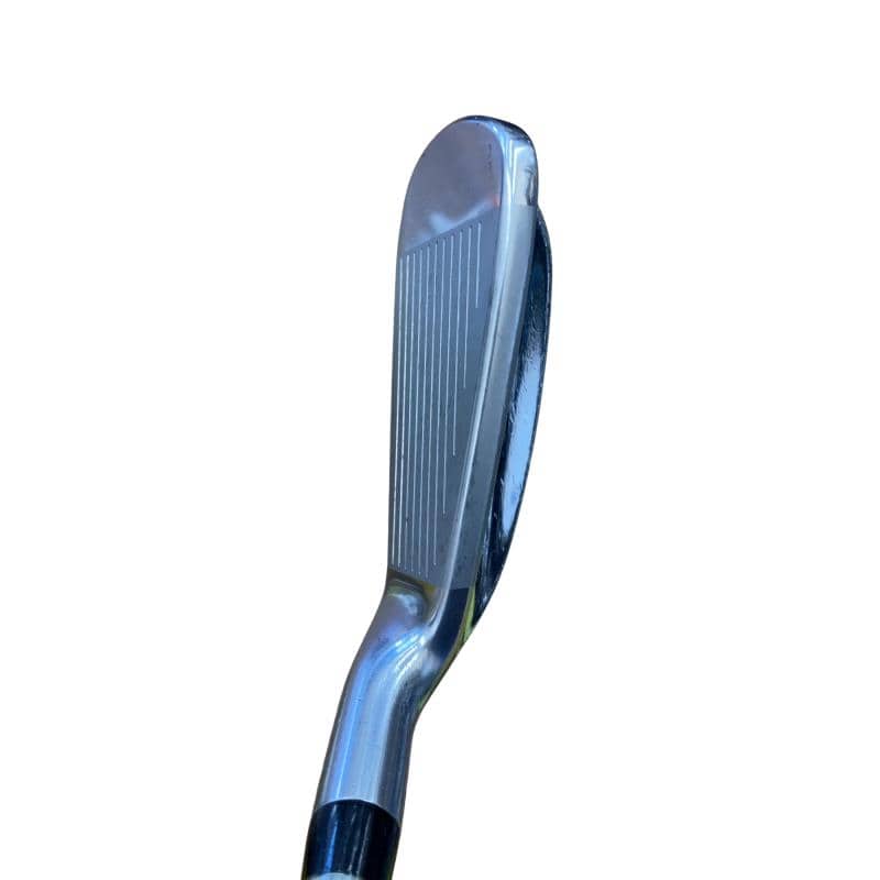 �������������@�t�c�{�Q�@�S�r�i���{���F�S�{�Z�b�g�j