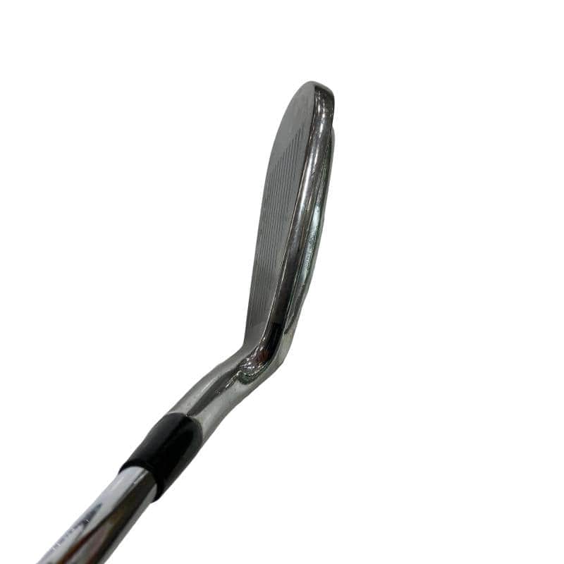 �l�����������@�o�����@�s���P�W�@�T�r�i���{���F�T�{�Z�b�g�j