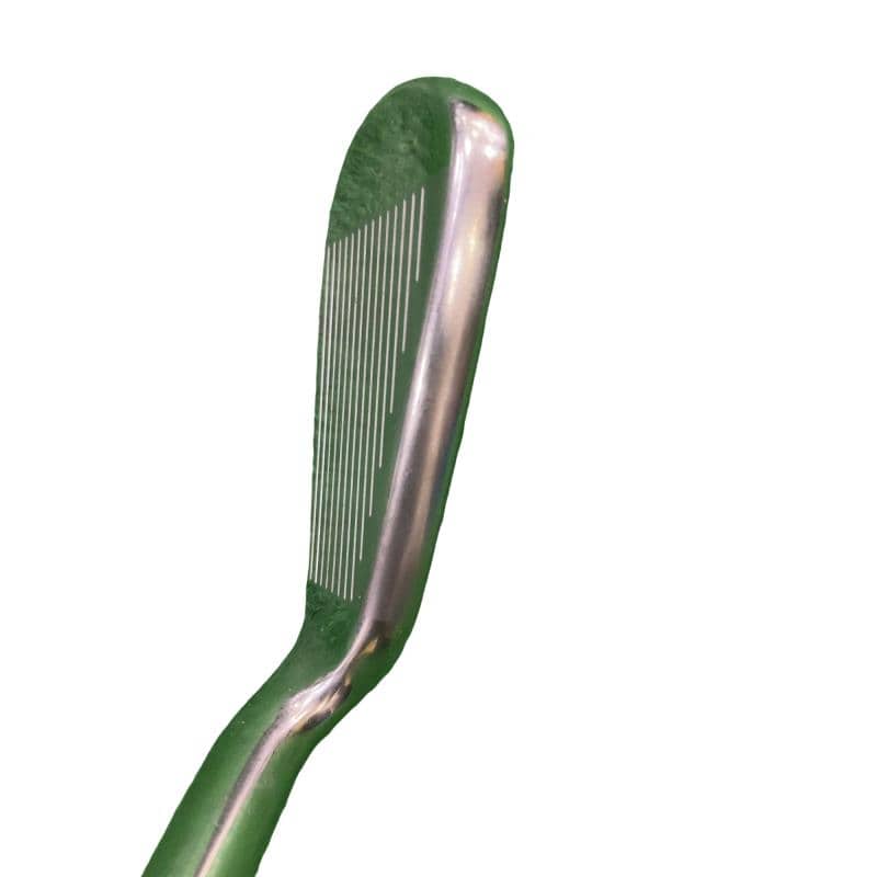 ���T�@�w�k�@�h�q�n�m�r�@�@�U�r�i���{���F�U�{�Z�b�g�j