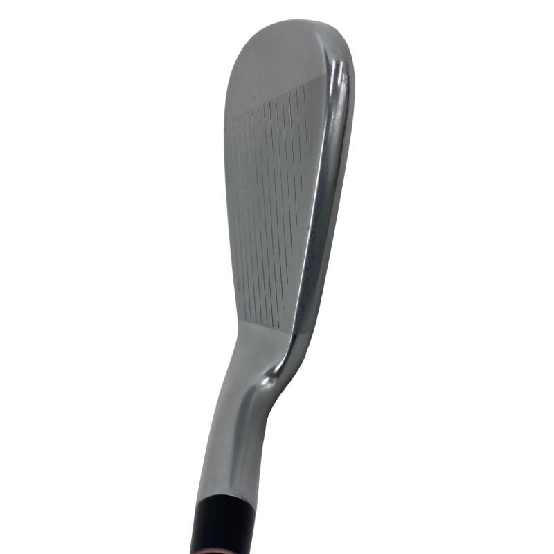 �q�X�@�l�`�w�@�T�r�@���f�B�[�X�i���{���F�T�{�Z�b�g�j