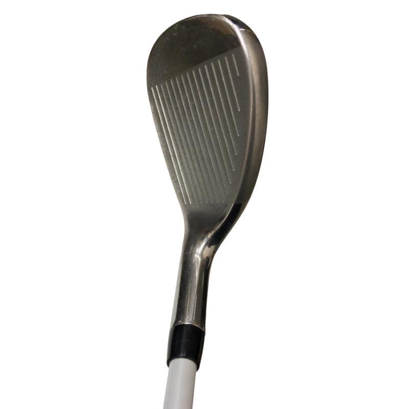 �q�n�f�t�d�@�r�s�`�q�@�T�r�@���f�B�[�X�i���{���F�T�{�Z�b�g�j