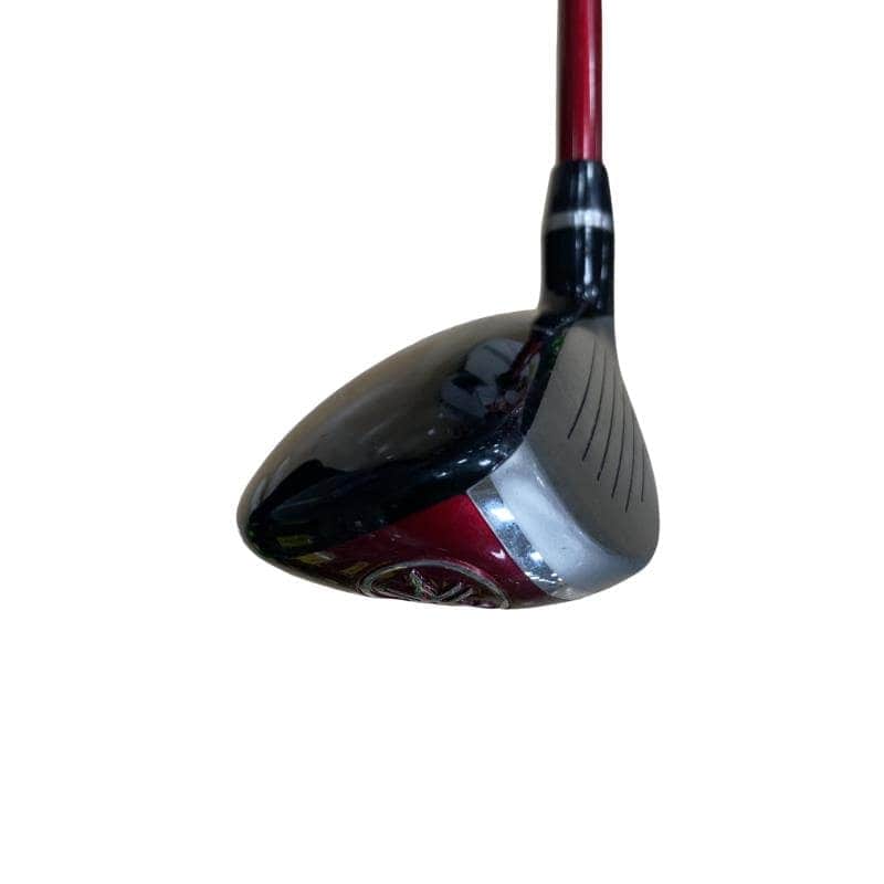 �q�l�w�@�u�c�@�t�T