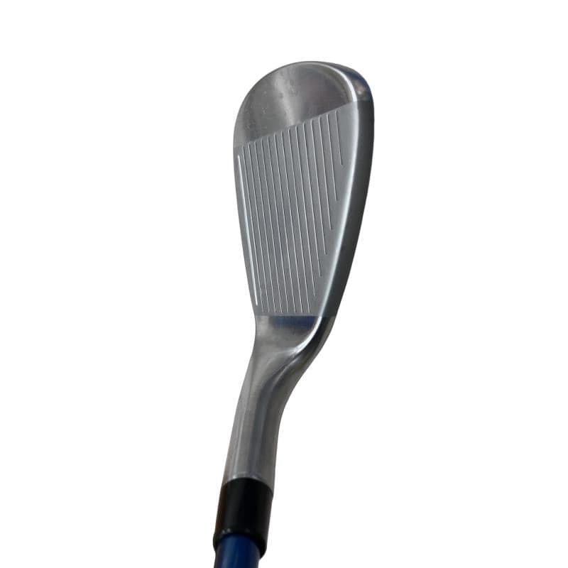 �p���@�g�k�@�T�r�i���{���F�T�{�Z�b�g�j