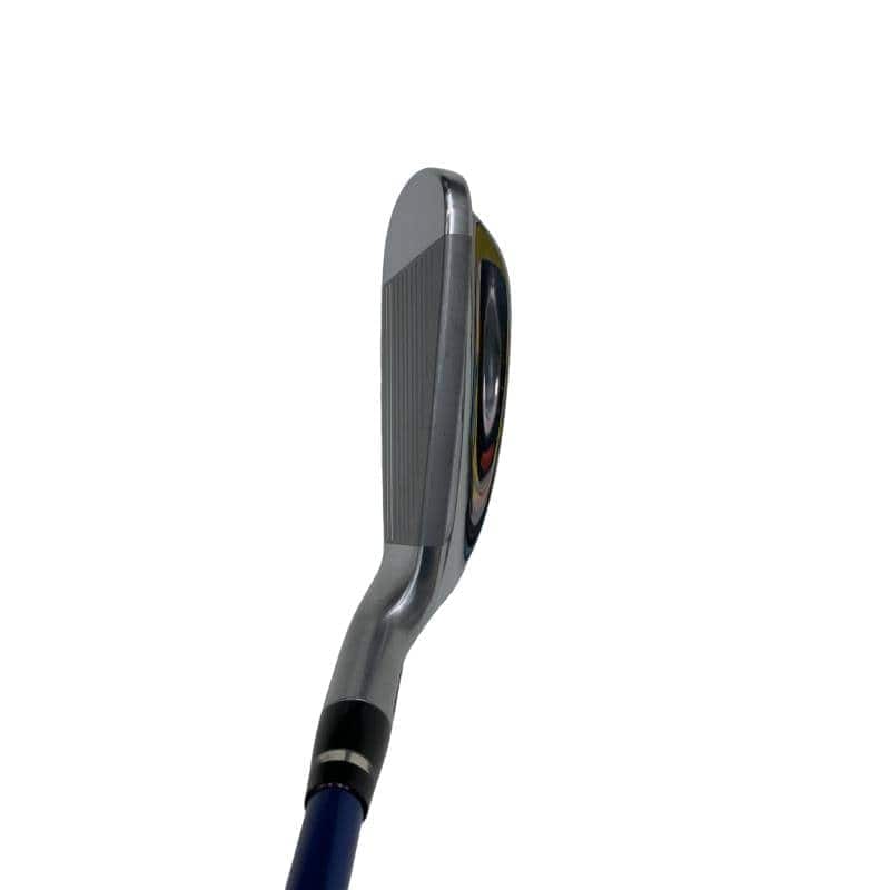 �������������@�t�c�{�Q�@�U�r�i���{���F�T�{�Z�b�g�j