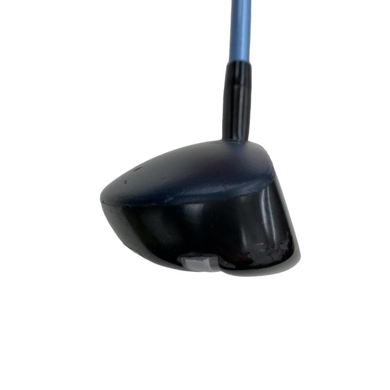 �w�q�@�t�T�@���f�B�[�X