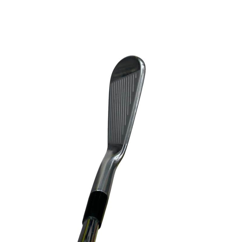 �l�����������@�o�����@�Q�Q�P�@�U�r�i���{���F�U�{�Z�b�g�j