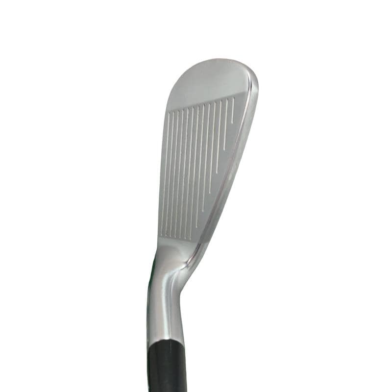 �l�����������@�o�����@�X�Q�O�@�U�r�i���{���F�U�{�Z�b�g�j