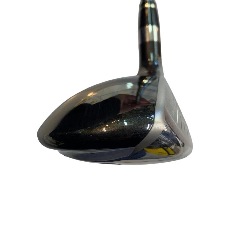 �u�q�Q�r�@���[�e�B���e�B�@�t�S