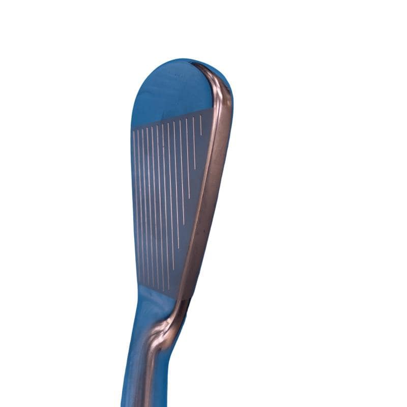 �l�����������@�o�����@�Q�Q�T�@�V�r�i���{���F�V�{�Z�b�g�j