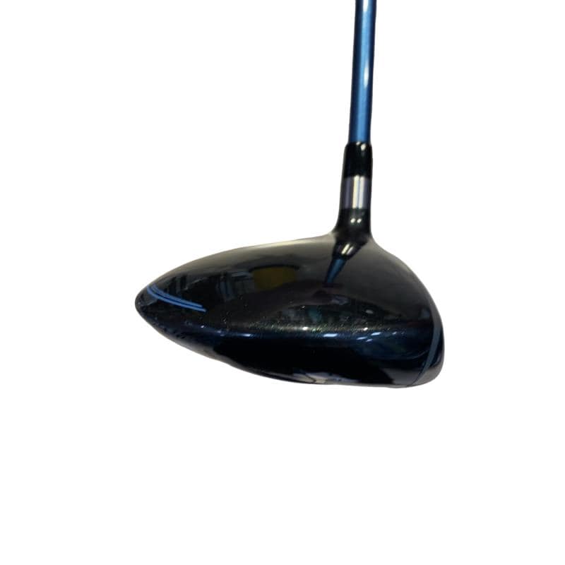 �a�q�|�w�@�_�[�N�O���[�@�T�v�@���f�B�[�X