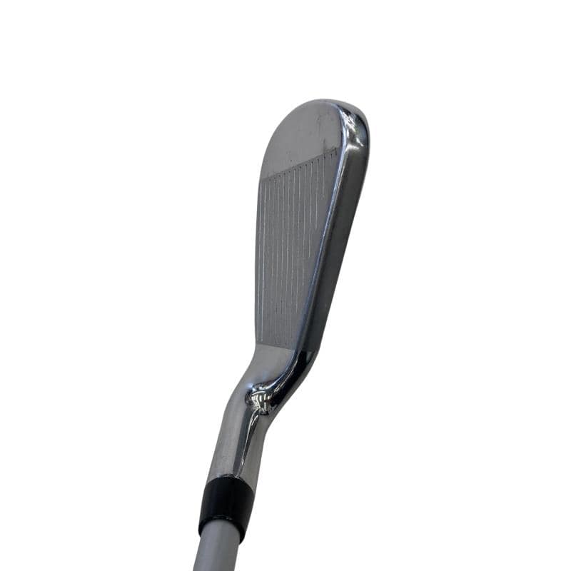 �w�@�g�n�s�@�@�U�r�i���{���F�U�{�Z�b�g�j