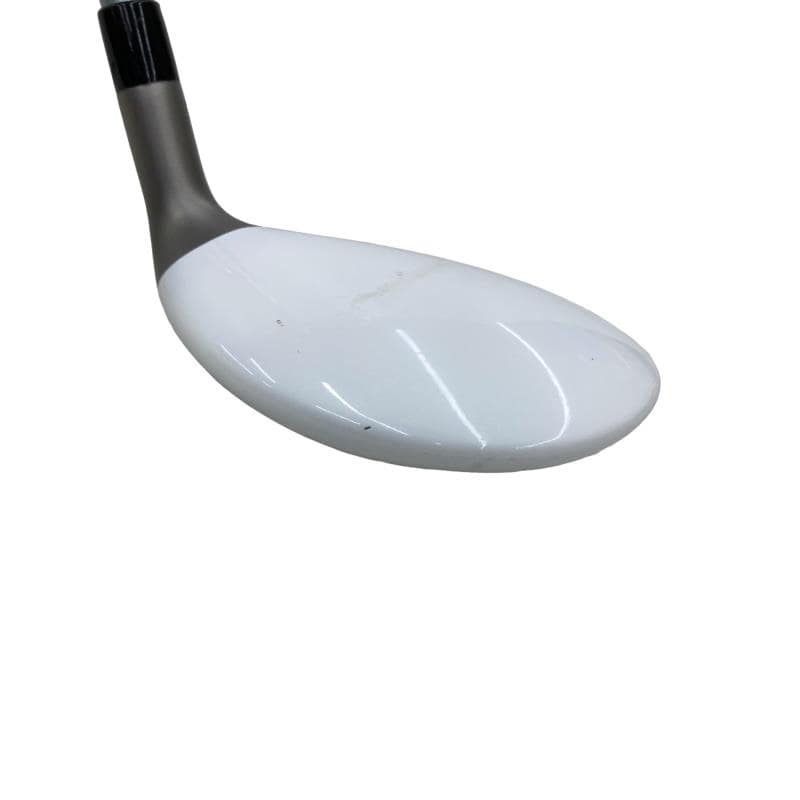 �a�q�|�w�@�t�U�@���f�B�[�X