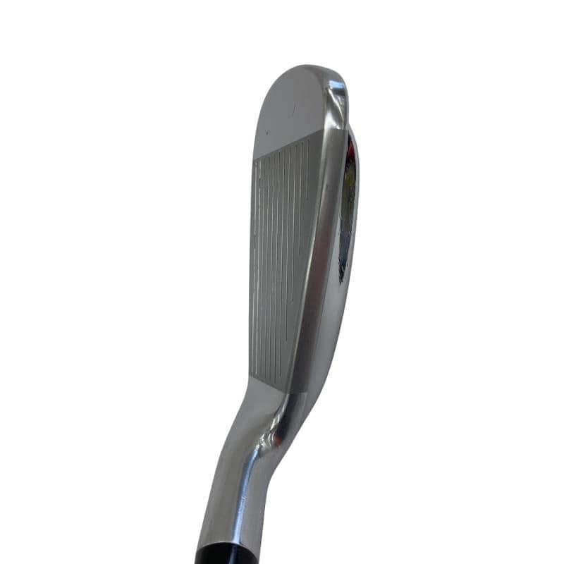 �������������@�t�c�{�Q�@�U�r�i���{���F�U�{�Z�b�g�j