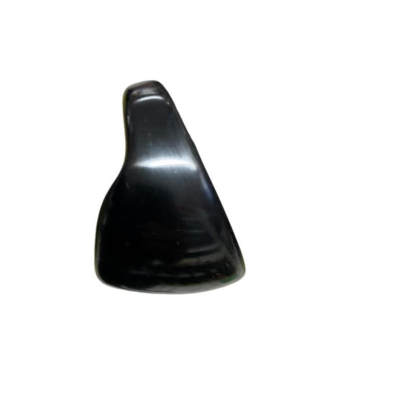 �f�@�b�q�n�r�r�n�u�d�q�@�t�S