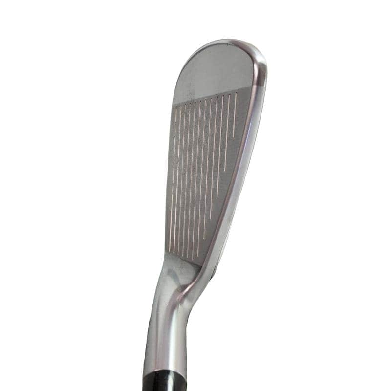 �������������@�q�l�w�@�t�c�{�Q�@�V�r�i���{���F�V�{�Z�b�g�j