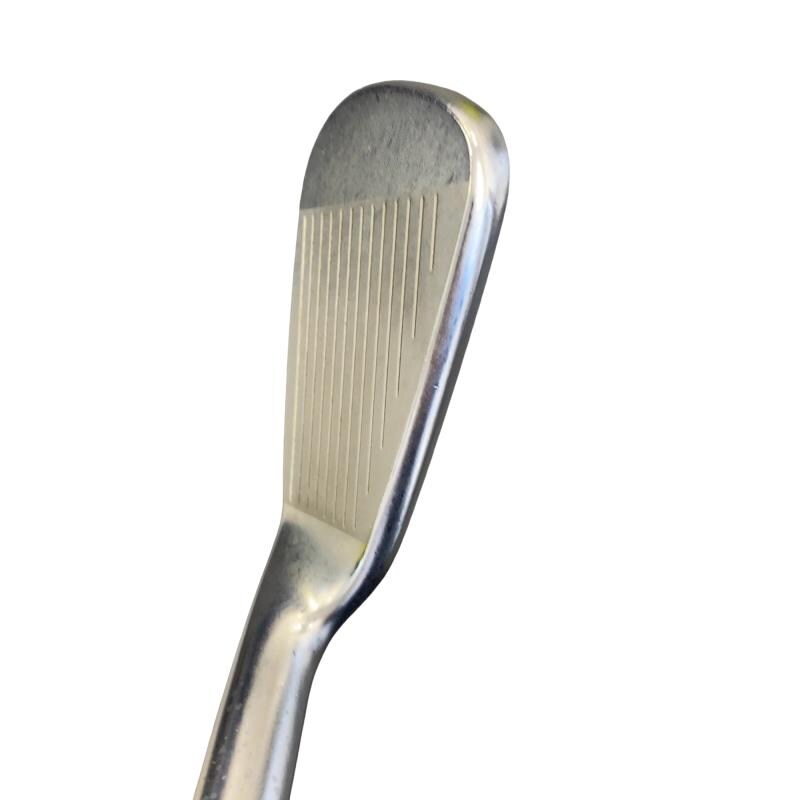 ���Q�P�O�@�X�r�i���{���F�V�{�Z�b�g�j