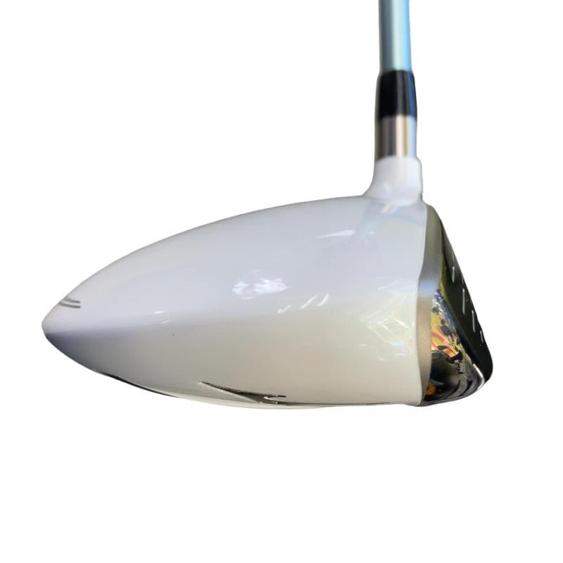 �a�q�|�w�@�T�v�@���f�B�[�X