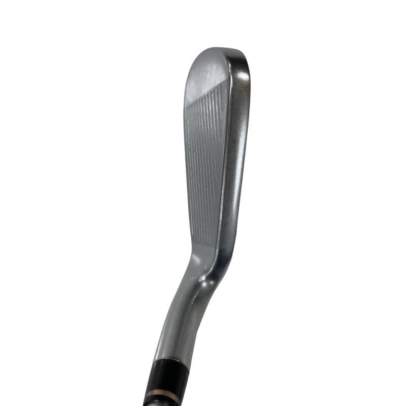 �l�@�f�k�n�h�q�d�@�U�r�@���f�B�[�X�i���{���F�U�{�Z�b�g�j