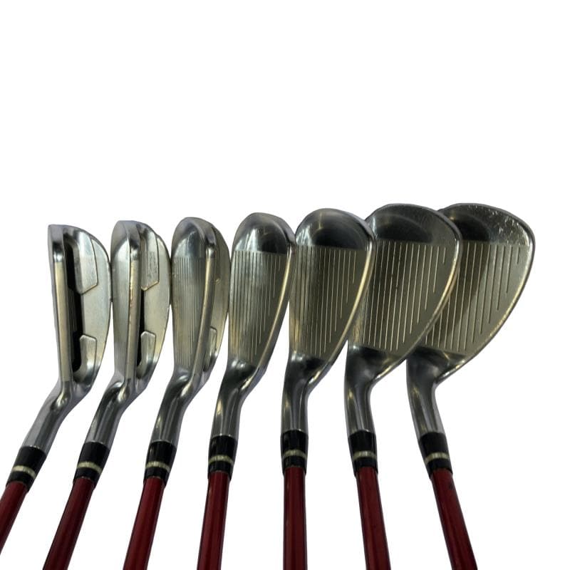 �������������@�q�l�w�@�t�c�{�Q�@�V�r�i���{���F�V�{�Z�b�g�j