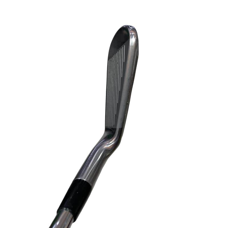 �l�����������@�o�����@�V�P�X�@�U�r�i���{���F�U�{�Z�b�g�j