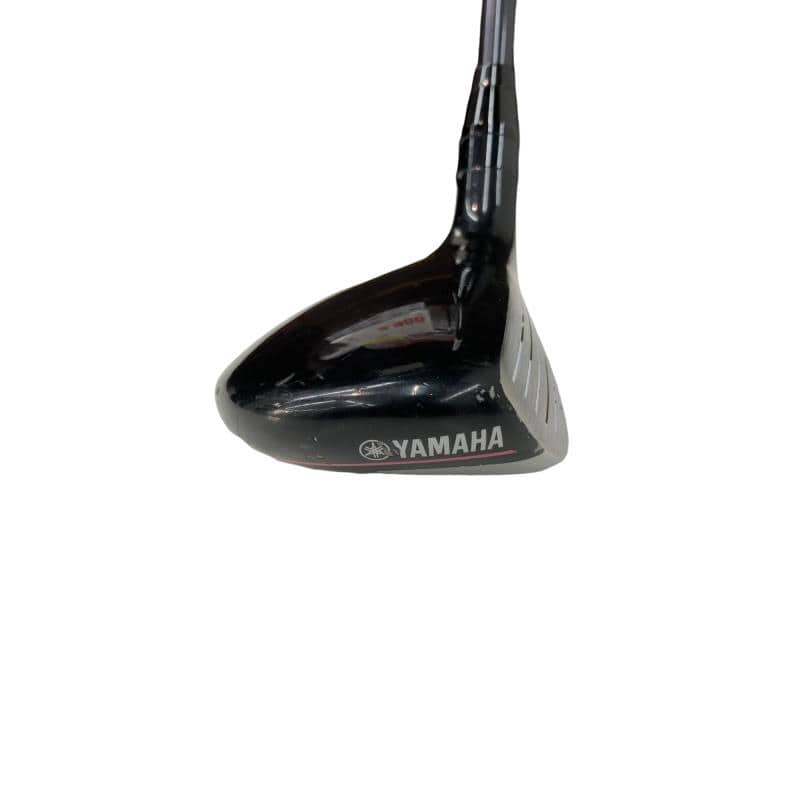 �������������@�q�l�w�@�t�T�{�@���f�B�[�X