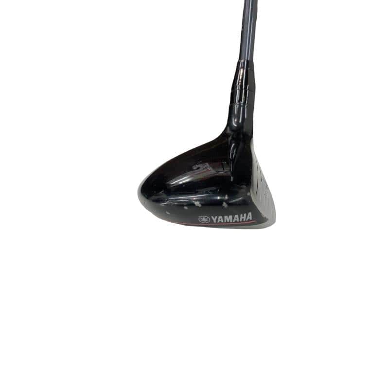 �������������@�q�l�w�@�t�U�{�@���f�B�[�X