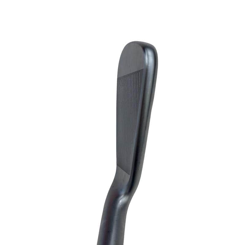 ���T�R�O�@�W�r�i���{���F�V�{�Z�b�g�j