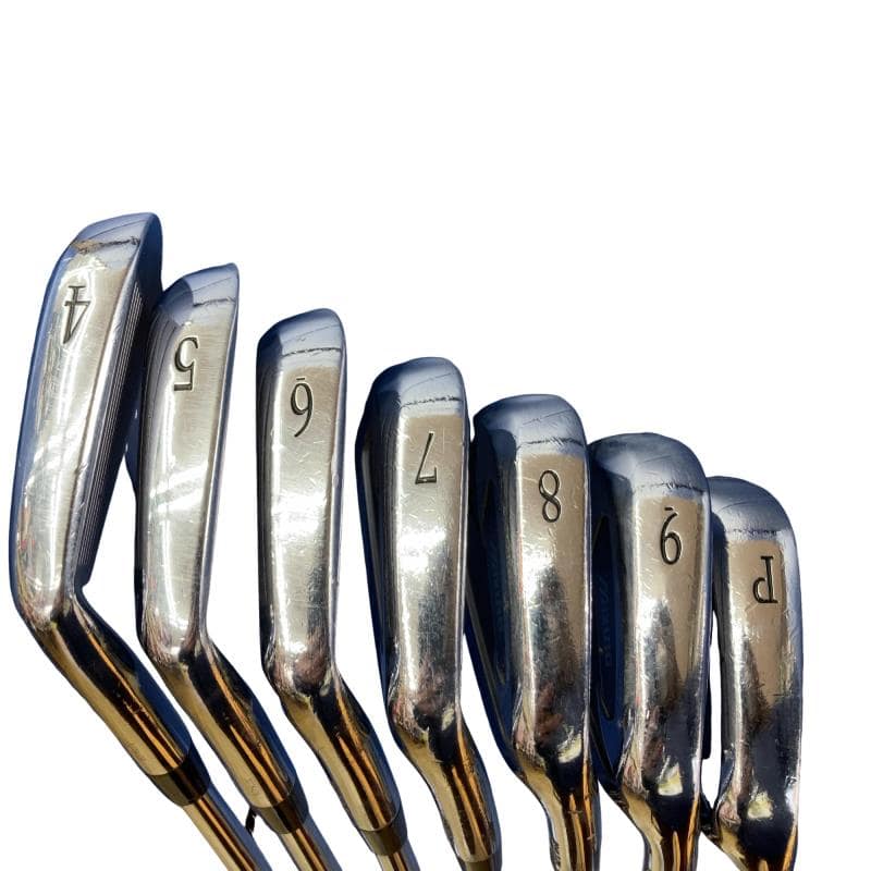 �l�o�|�T�X�@�V�r�i���{���F�V�{�Z�b�g�j