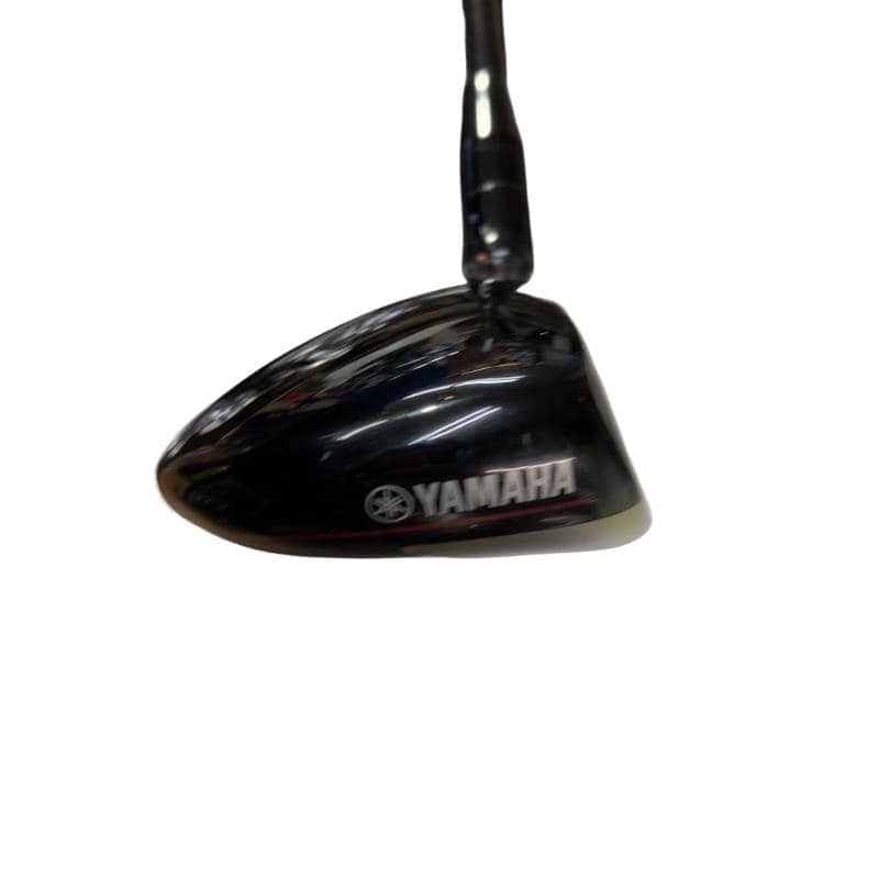 �������������@�q�l�w�@�t�S�{