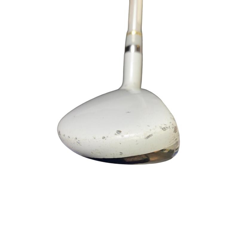 �����������i�Q�O�P�T�j�@�T�g�@���f�B�[�X