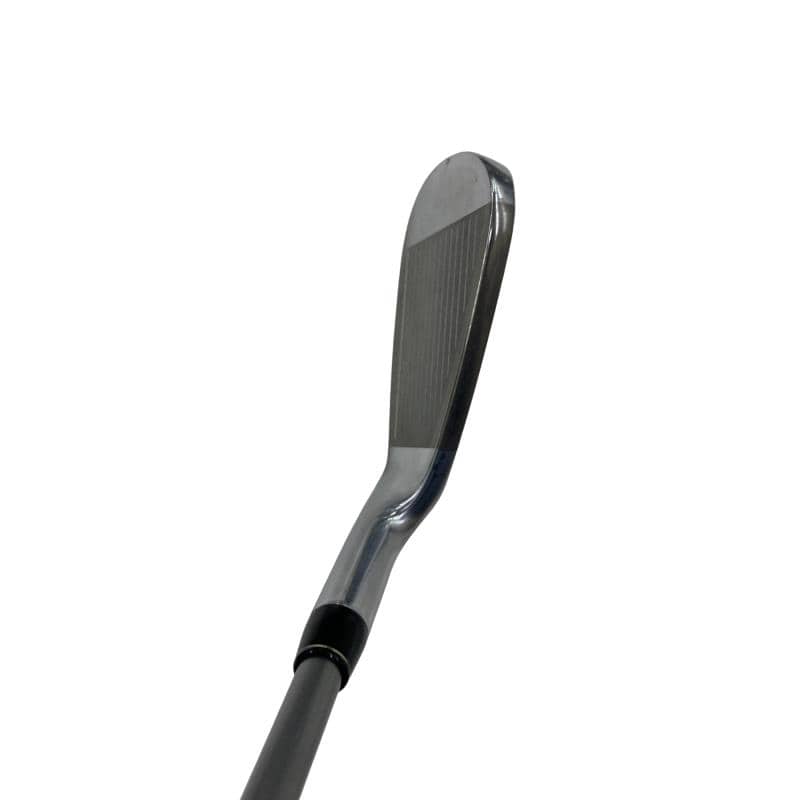 �q�r�@�`�^���t�F�[�X�@�T�r�i���{���F�T�{�Z�b�g�j