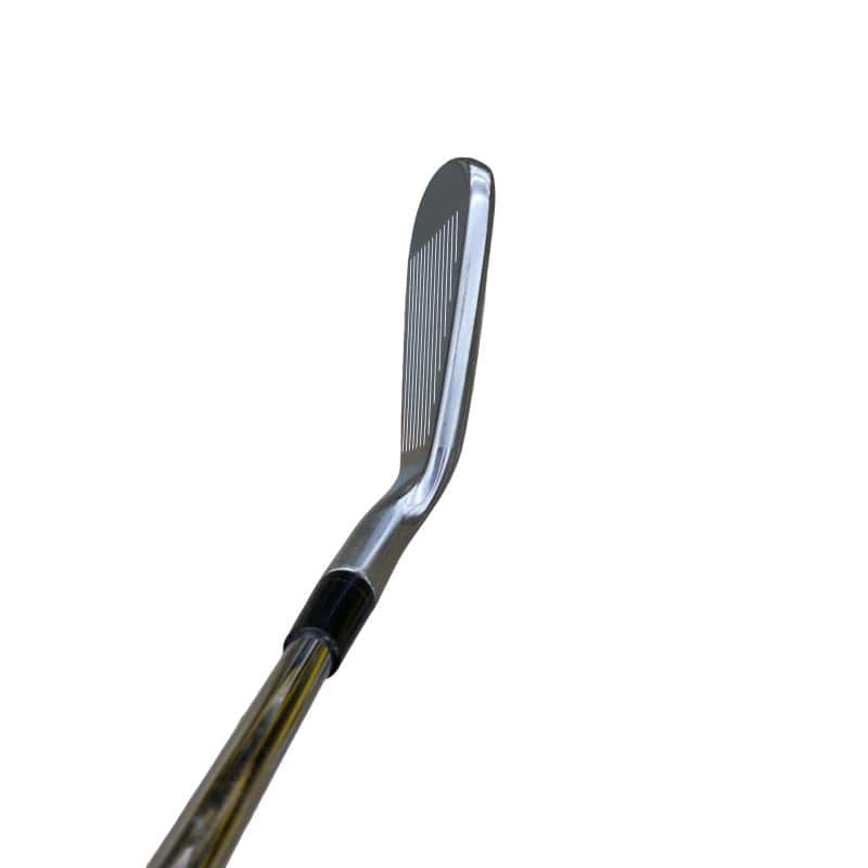 �s�����������@�l�������@�o�E�V�X�O�@�U�r�i���{���F�U�{�Z�b�g�j