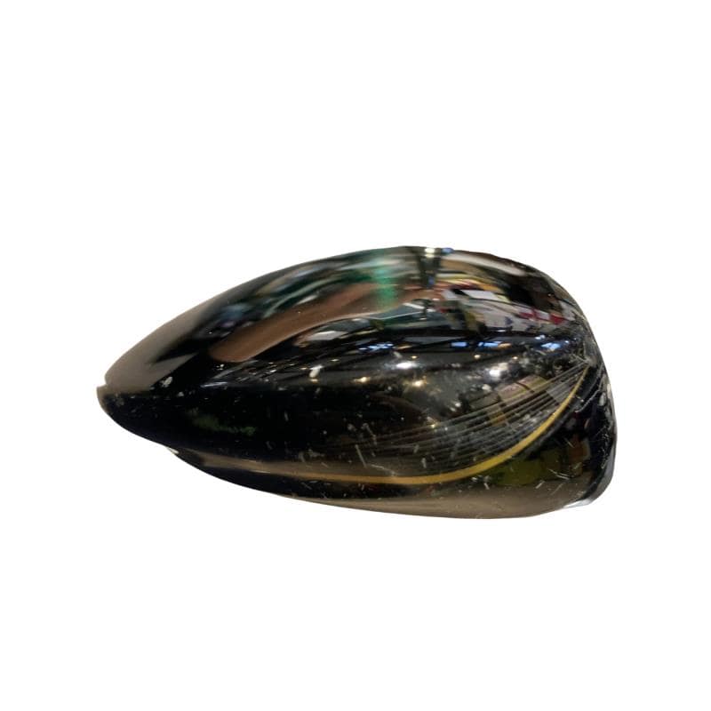 �o�g�x�y�i�Q�O�P�X�j�@�V�v