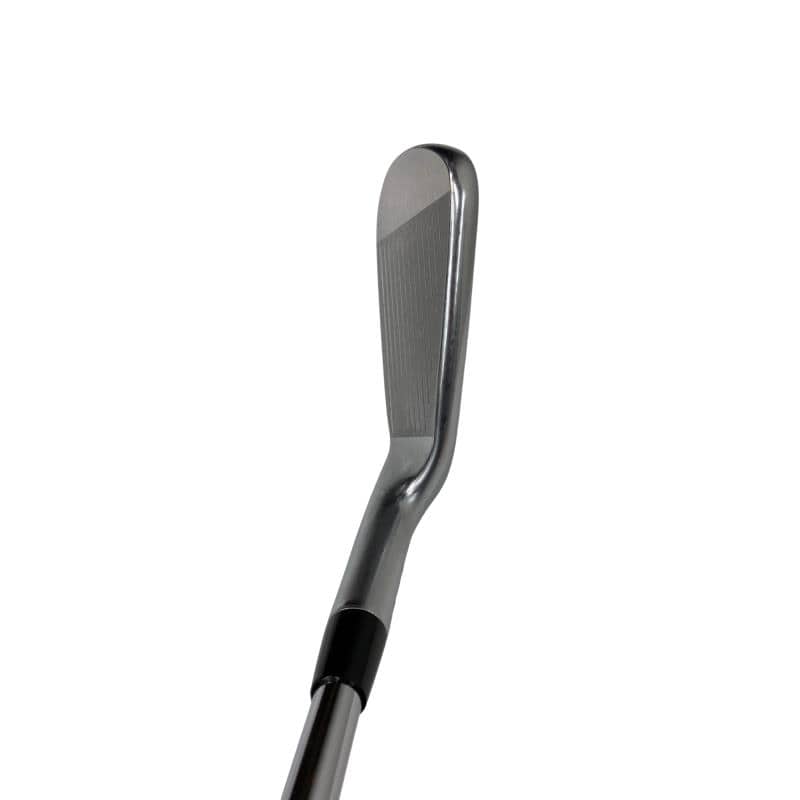 ���Q�P�O�@�U�r�i���{���F�U�{�Z�b�g�j